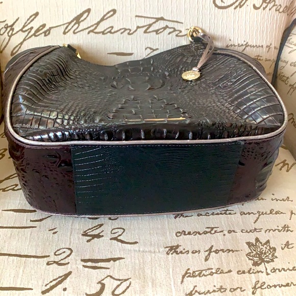 Brahmin - Picture 3 of 12